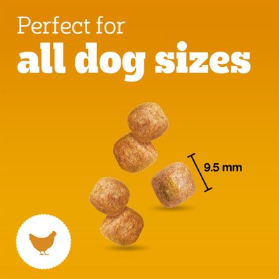 Pedigree Tasty Minis - Puppy - Chicken (125g)