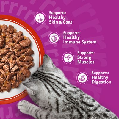 Whiskas 1+ Meaty Meals in Jelly