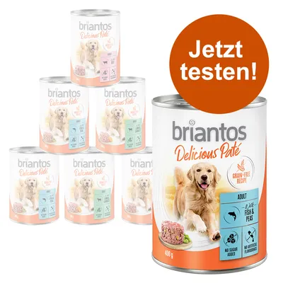 Briantos Delicious Paté, Adult, Grain-Free Recipe, mit Fisch und Erbsen, ohne Zuckerzusatz, keine künstlichen Aromen. Jetzt testen! 400g Dose.
