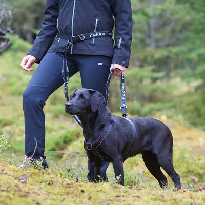 Person med sort jakke og bukser fører en sort hund i en Rukka-line og sele gennem et grønt skovlandskab.