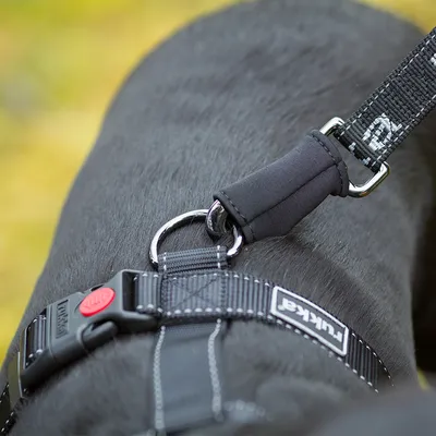 Nærbillede af sort hundesele med metalring, rød lukning og teksten 'Julius-K9' på et mærke.