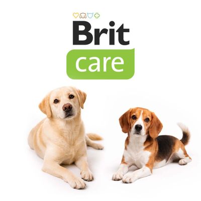 Brit Paté & Meat 6 x 400 g