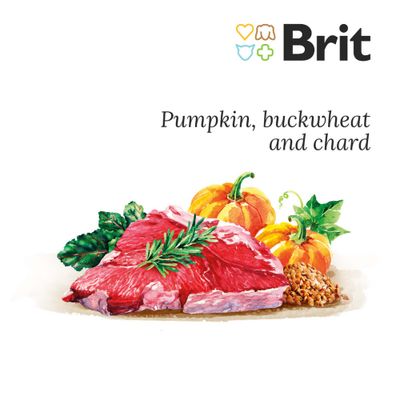 Brit Fresh Beef with Pumpkin, hrană pentru câini. Text vizibil: Growth & Joints, superpremium formula for large breed puppies & junior dogs, fără porumb, soia, gluten sau conservanți artificiali.