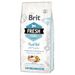 Brit Fresh Adult Large, ryba z dynią 12 kg