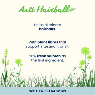 Almo Nature Functional Anti Hairball s lososom - 2 kg