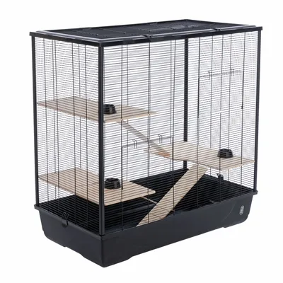 Jaula para ratas y chinchillas TIAKI - 100 x 54 x 100cm (L x An x Al) Jaula para ratas y chinchillas TIAKI - 100 x 54 x 100cm (L x An x Al)