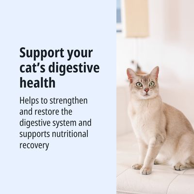 Supporta la salute digestiva del tuo gatto. Aiuta a rafforzare e ripristinare il sistema digestivo e favorisce il recupero nutrizionale.