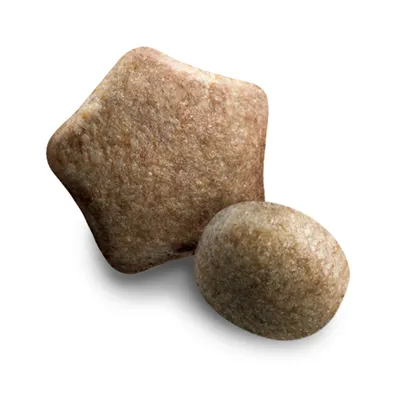 Two pieces of dry pet food in different shapes, one star-shaped and one round, shown to illustrate kibble size and form.