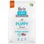 Brit Care Hypoallergenic Puppy Agnello & Riso Crocchette cane 3 kg