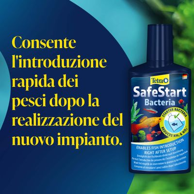 Tetra SafeStart Bacteria consente l'introduzione rapida dei pesci dopo l'allestimento di un nuovo acquario. I batteri starter riducono NH3 e NO2.