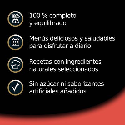 Texto em espanhol: 100 % completo y equilibrado; menús deliciosos y saludables para disfrutar a diario; recetas con ingredientes naturales seleccionados; sin azúcar ni saborizantes artificiales añadidos.