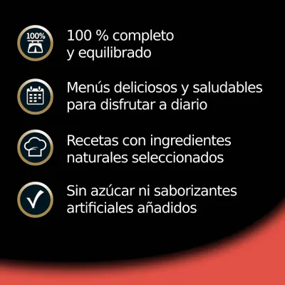 Texto em espanhol: 100 % completo y equilibrado; menús deliciosos y saludables para disfrutar a diario; recetas con ingredientes naturales seleccionados; sin azúcar ni saborizantes artificiales añadidos.