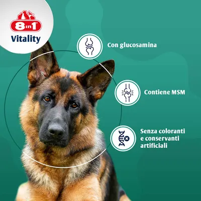 8in1 Vitality Compresse di Glucosamina + MSM  - 55 compresse