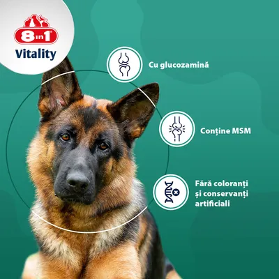 8in1 Vitality Tablete cu glucozamină + MSM - 55 tablete