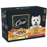 Cesar Pouches Deliciously Fresh Selection in Jelly Saver Packs - 48 x 100g