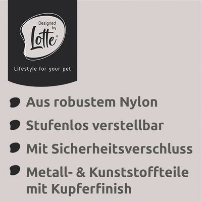 Světlé šedý obojek s bronzovým zapínáním a přívěskem, gravírovaným nápisem 'Designed by Lotte'.