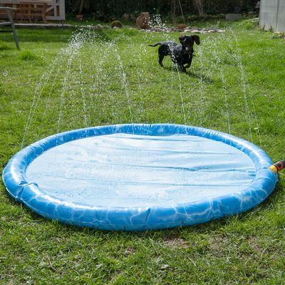 TIAKI Splash Piscină câini