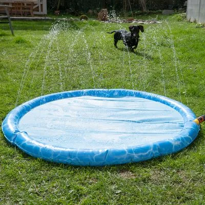 TIAKI Splash Piscină câini