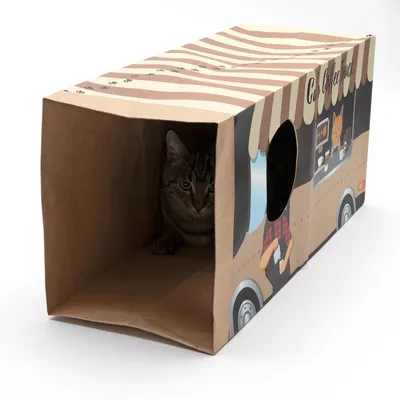 Casa de juegos para gatos de cartón en forma de camión de café con techo a rayas y abertura redonda, gato sentado dentro.