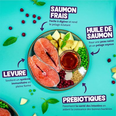 Saumon frais, facile à digérer pour un pelage brillant. Huile de saumon pour une peau saine et un pelage soyeux. Levure pour le système immunitaire. Prébiotiques pour la santé intestinale.