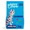 Edgard & Cooper Adult graanvrije zalm voor katten Dubbelpak: 2 x 2 kg