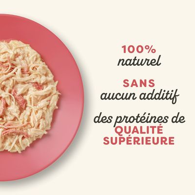 Lot de 24 boîtes Applaws Ocean Fish in broth pour chat, 70 g chacune, ingrédients 100 % naturels, Certified B Corporation visible sur l’emballage.