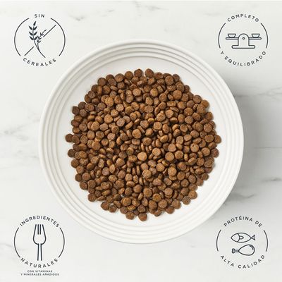 Encore Adult Complete comida para gatos, 800g, pollo con salmón, sin cereales, 80% pollo y salmón, 20% extractos naturales, 100% ingredientes naturales.