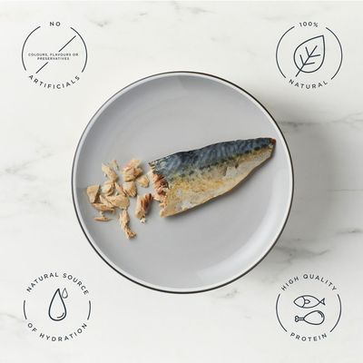 Encore Cat Mackerel Loin - Saver Pack: 6 x 30g