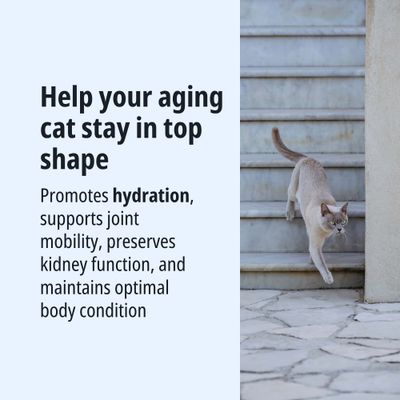 Helps older cats stay in top form: Promotes hydration, supports joint mobility, maintains kidney function and optimal body condition.