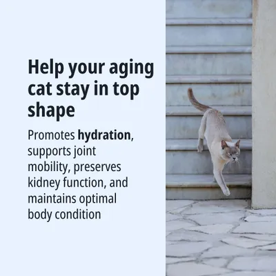 Helps older cats stay in top form: Promotes hydration, supports joint mobility, maintains kidney function and optimal body condition.