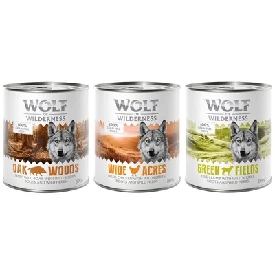 6 x 800 g míchaná balení - Wolf of Wilderness - 6 x 800 g: divočák, kuřecí, jehněčí