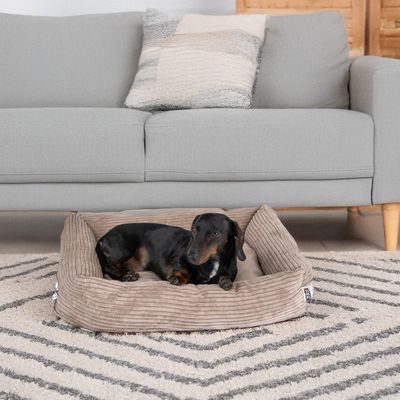 Hund liegt in einem braunen, gerippten Hundebett auf einem Teppich vor einem grauen Sofa.