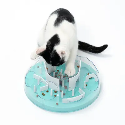 Gato juega con un juguete interactivo de alimentación de plástico que contiene pienso en diferentes compartimentos.
