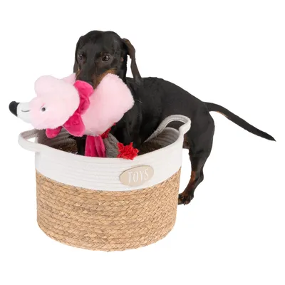 Hund med rosa plyschleksak i en korg med texten 'Toys'.