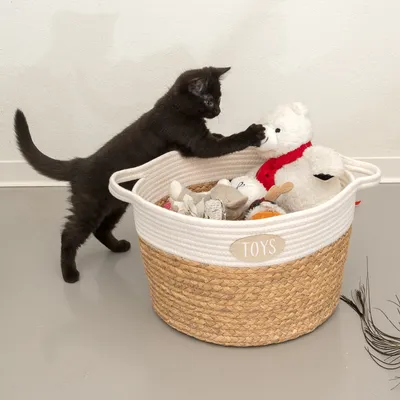 Leksakskorg av flätat material med texten 'Toys', fylld med olika husdjursleksaker. Svart katt interagerar med en vit plyschbjörn.