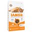 IAMS Advanced Nutrition Senior Cat 7+ mit Huhn 3 kg