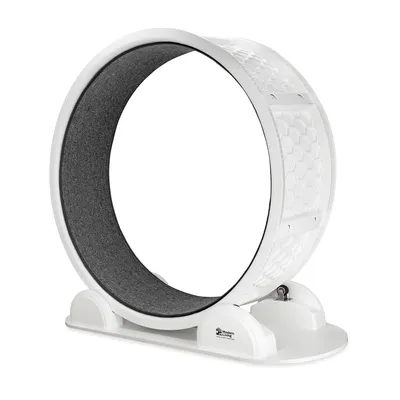 Roue d’exercice en plastique blanc à structure en nid d’abeille, surface de course grise. Logo 'Modern Living' visible sur la base.