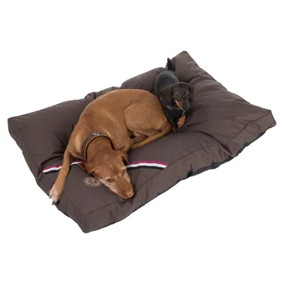 Deux chiens couchés sur un grand coussin marron, bande décorative rouge-blanc-noir et badge rond visible sur le coin du coussin. Matière tissu.