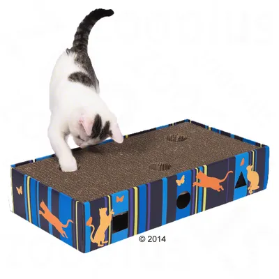 Giocattolo per gatti in cartone con superficie tiragraffi e design colorato. Gatto bianco che gioca sopra.