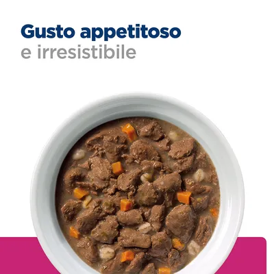 Gusto appetitoso e irresistibile. Ciotola bianca con bocconi di cibo umido per animali, visibili pezzi di carne e verdure.
