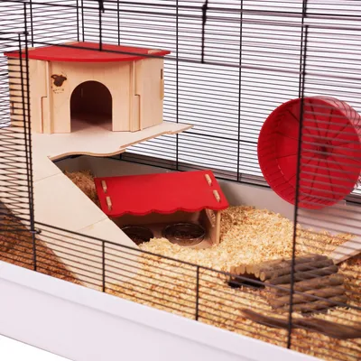 Hamsterkäfig mit Holzhaus, rotem Dach, Laufrad und Futterbereich. Einstreu aus Holzspänen, Rampen und Brücke sichtbar.
