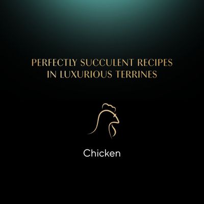Sheba Classic Terrine Trays - Chicken (22 x 85g)