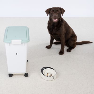 Два белых пластиковых контейнера на колесах с мятно-зелёными крышками, подходят для хранения. Видны разные размеры.