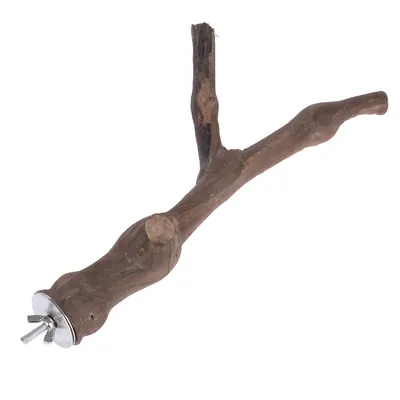 Wooden perch with metal attachment, suitable for cages or aviaries.