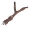 TIAKI Y-Vogelsitzstange Weinrebe Grösse L: ca. Ø 3 x L 30 cm