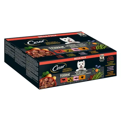 Cesar Natural Goodness Getreidefrei mit Superfoods 48 x 100 g - Terrine Mix (Geflügel, Truthahn, Rind, Lachs)