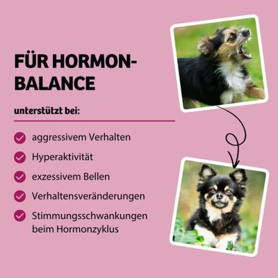 Für Hormon-Balance, unterstützt bei aggressivem Verhalten, Hyperaktivität, exzessivem Bellen, Verhaltensveränderungen, Stimmungsschwankungen beim Hormonzyklus.