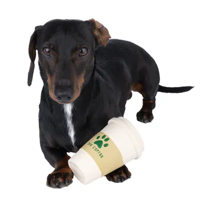 Black dog with a white cup labelled 'Dog Coffee' and a green paw print.