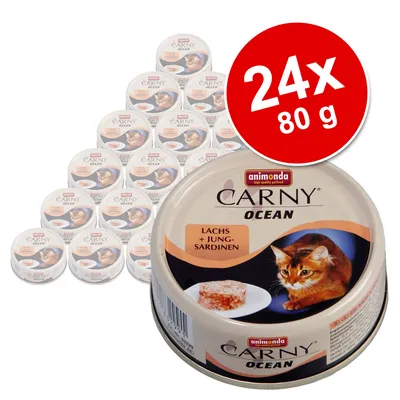 Pack de 24 latas Animonda Carny Ocean, 80 g cada. Texto visível: 'Lachs + Jung-Sardinen'. Imagem de um gato e comida na embalagem.