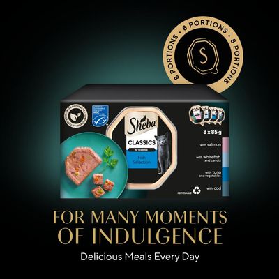 Sheba Classics Trays Fish Selection in Terrine Mixed Pack - 8 x 85g